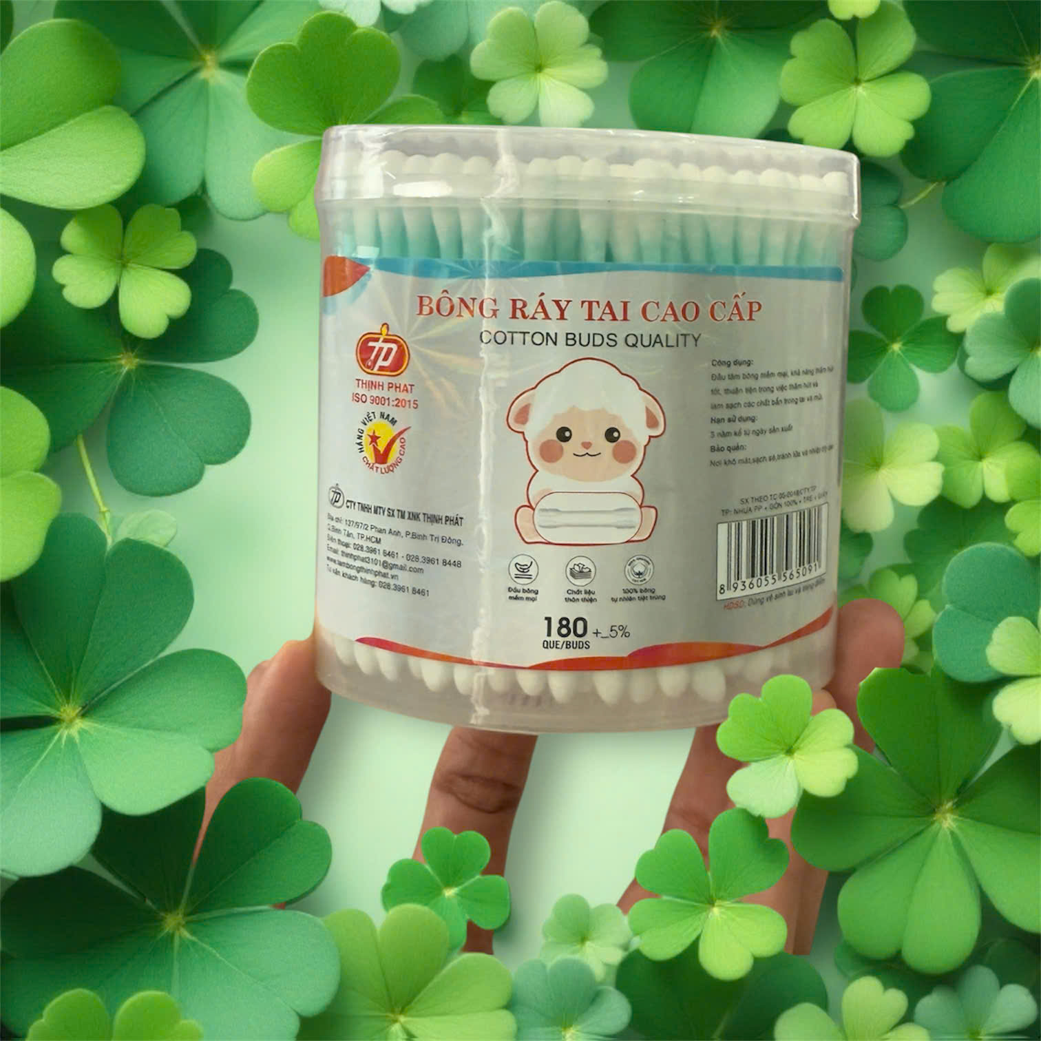 MSP _ H014 Hũ ráy tai trái Xoài que lớn